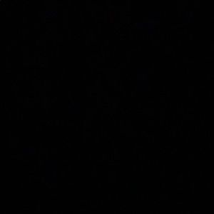 Meet your Posher, Lorna